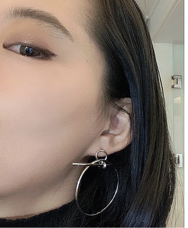 Hermes Earrings